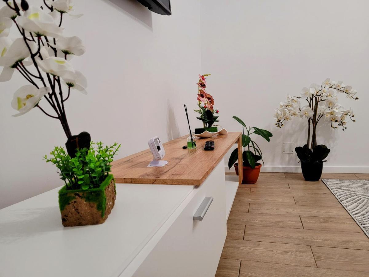Casa Feli Apartment Brasov Ngoại thất bức ảnh